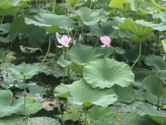 -哈尔滨大剧院