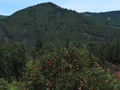 -舒家湾天主教堂