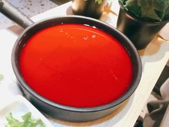 -渡娘火锅(大兴大悦春风里店)