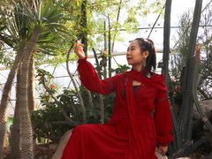 -北京植物园-展览温室
