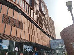 -中国宋庆龄青少年科技文化交流中心