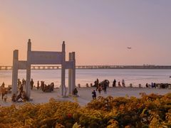 -宝安西湾红树林湿地公园