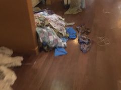 -嘉佑温泉水世界