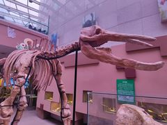 -陕西自然博物馆