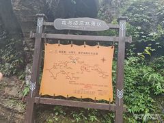 -梭布垭石林景区