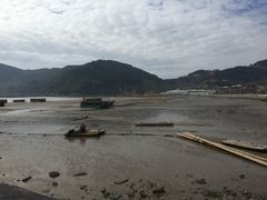 -北岐滩涂