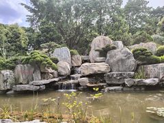 -东莞植物园