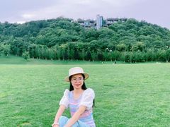 -羊山湖公园