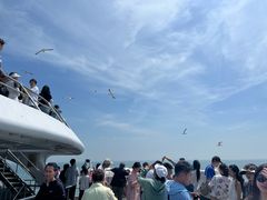 -长岛南北长山旅游景区