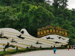 -西双版纳原始森林公园