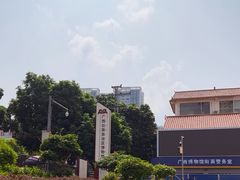 -广西壮族自治区博物馆