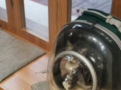 -Oasis coffee燕谷咖啡(公信店)