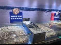 -亚马逊海鲜自助(梅溪湖步步高店)