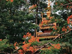 -曼听御花园