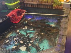 -山河屯铁锅炖鲜鹅·东北菜(开发区一店)