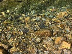 -羚羊峡古栈道森林公园