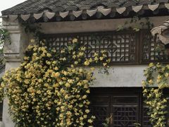 -惠山古镇·寄畅园