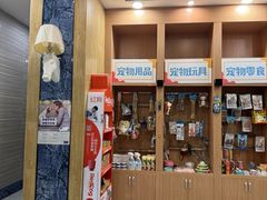 -瑞派名望志远动物医院·猫科·內科·异宠专科(直港大道店)