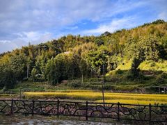 -泽雅景区