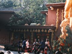 -云南民族村