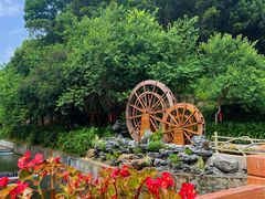 -广州白江湖森林公园