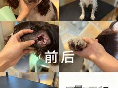 -听TA说宠咖·宠物生活馆(天韵水岸店)