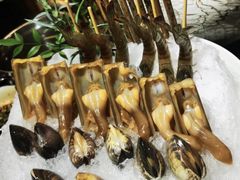 -揽季锅物会·海鲜姿造(三坊七巷店)
