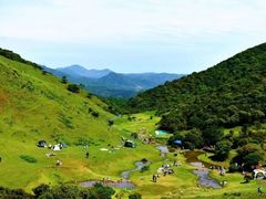 -大姆山草场