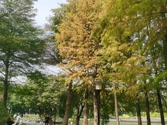 -东莞植物园