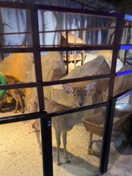 -酷嗒动物文化乐园(cutezoo西溪乐天城店)