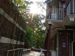 -香港大学