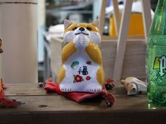 -柴犬高等学院·狗咖·柴犬售卖·宠物训练