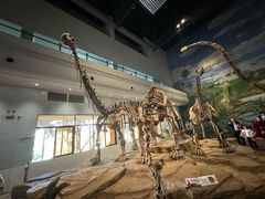 -自贡恐龙博物馆