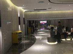 -保定金棕榈先天下国际影城(LUXE)