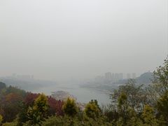-金海湾滨江公园