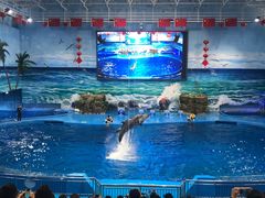 -多彩贵州城极地海洋世界