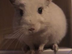 -雨林宠物医院 非犬猫异宠专科