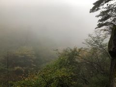 -青峰峡国家森林公园