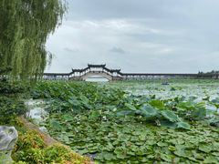 -观桥阁(锦溪店)