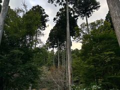 -三千院