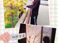 -北京四中(道元校区)