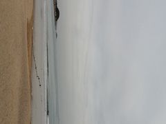 -仰口沙滩