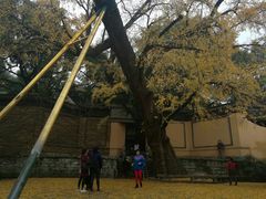 -无锡惠山寺