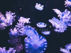 -华夏文旅西安度假区