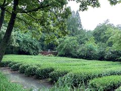 -东航云逸酒店(九溪烟树店)