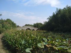 -韩湘水博园