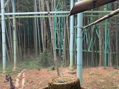 -陶祖圣境风景区