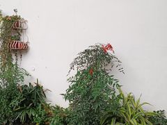 -1912街区