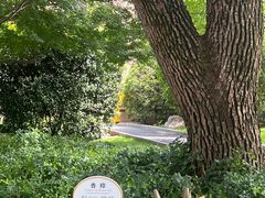 -上海兴国宾馆香樟园西餐厅