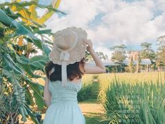 -迪茵湖田家舍生态农场